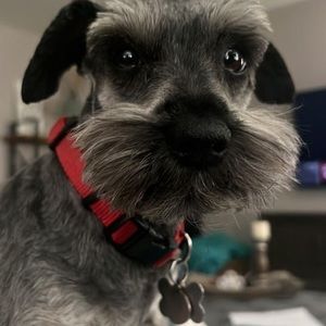 Meet your Posher, Johnny